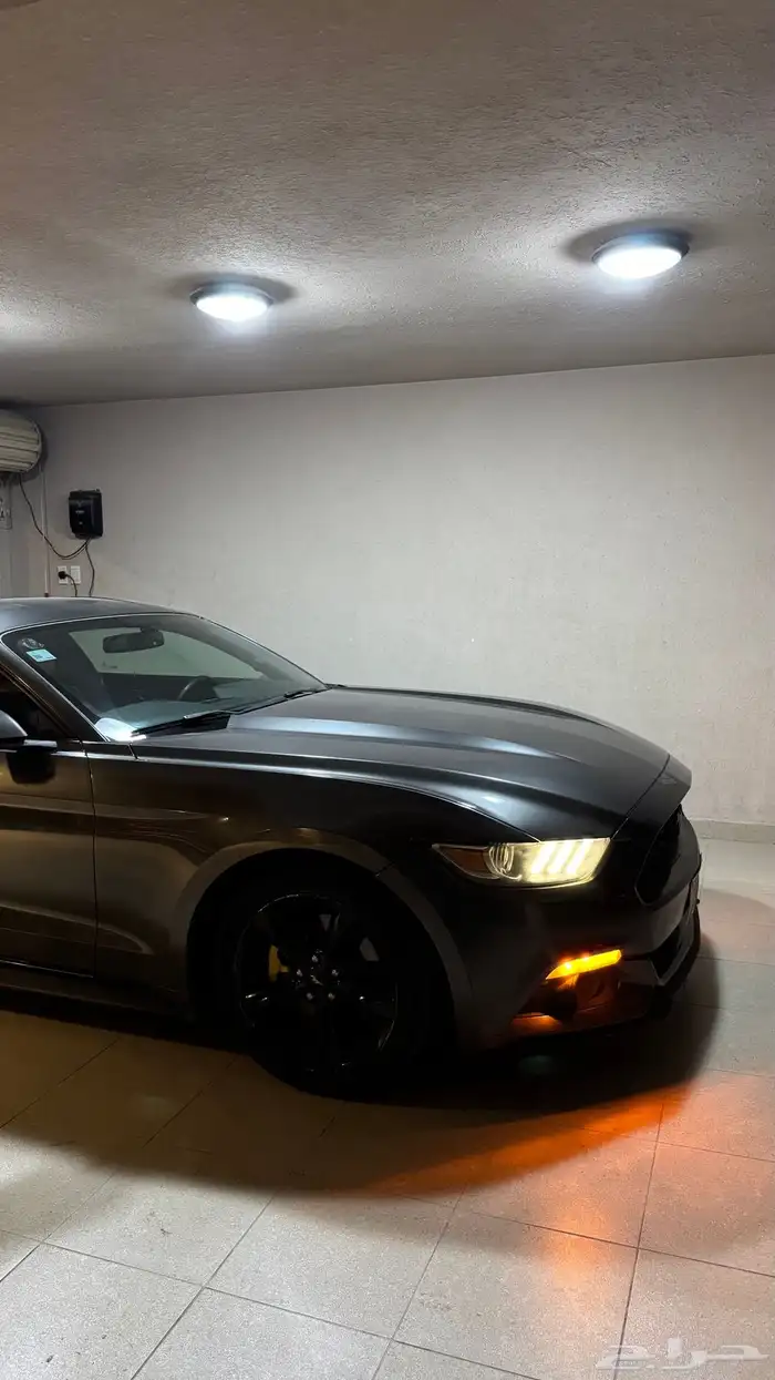 موستنج ايكو بوست 2015 11