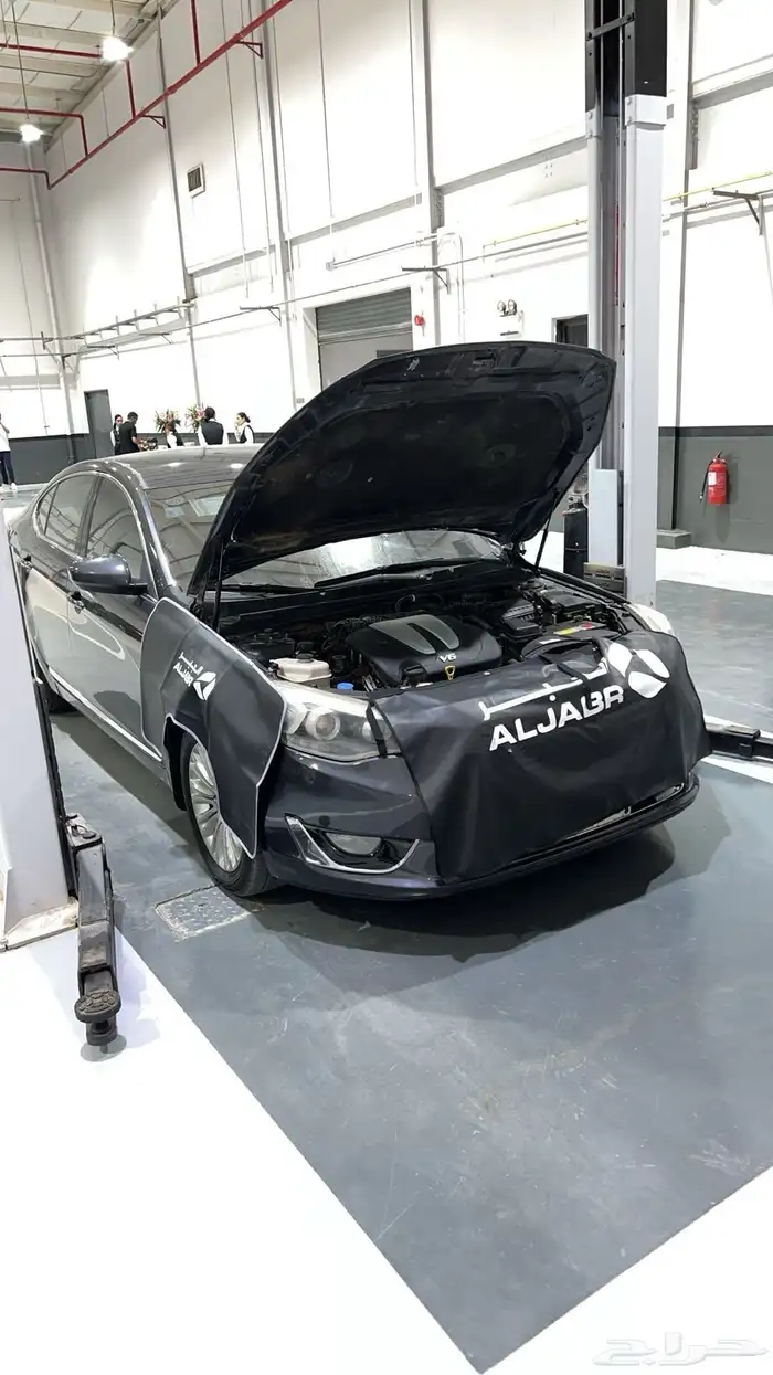 كادينزا 2014 16