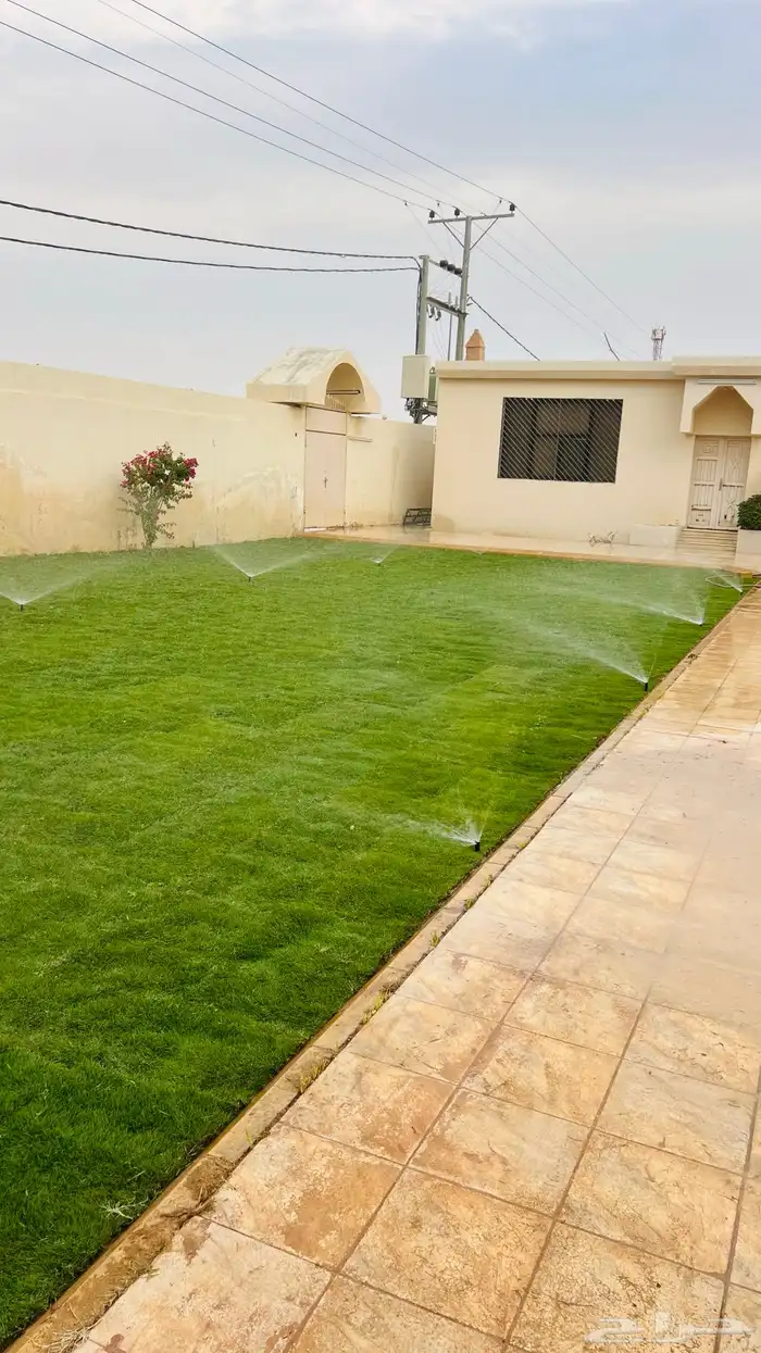 ثيل طبيعي C2000 2