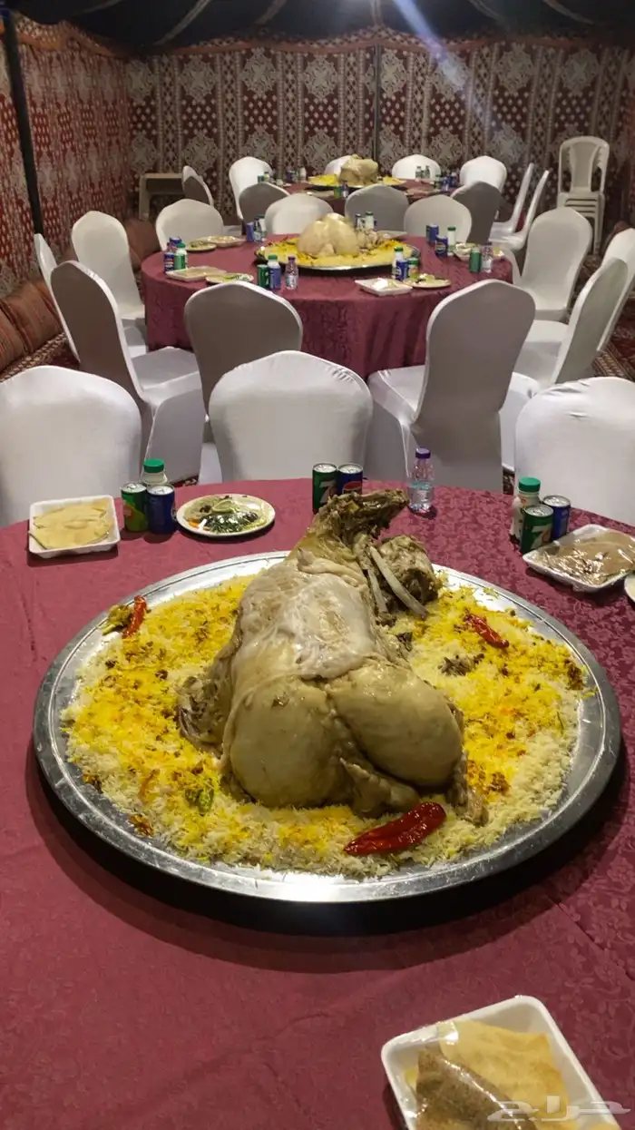 مخيم السراه للايجار 12