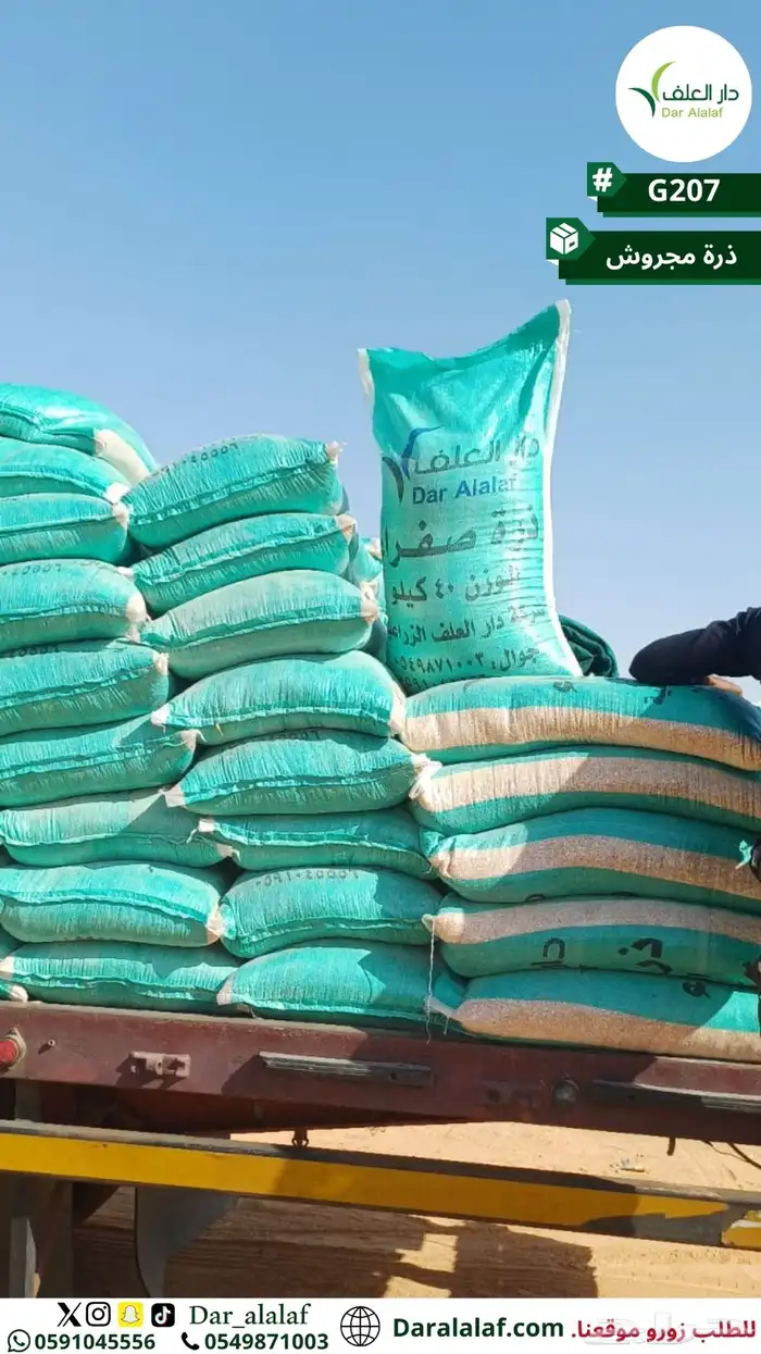 ذرة مجروشة في تبوك 1