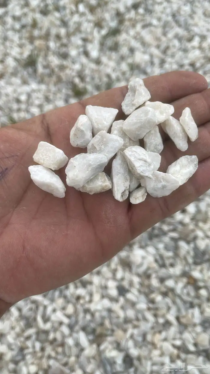 توريد مواد بناء دينه قلاب 3