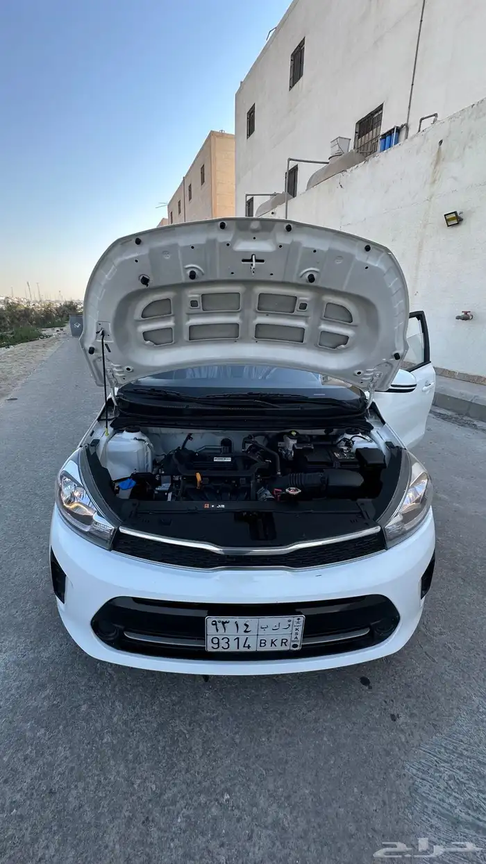 كيا بيجاس 2024 14