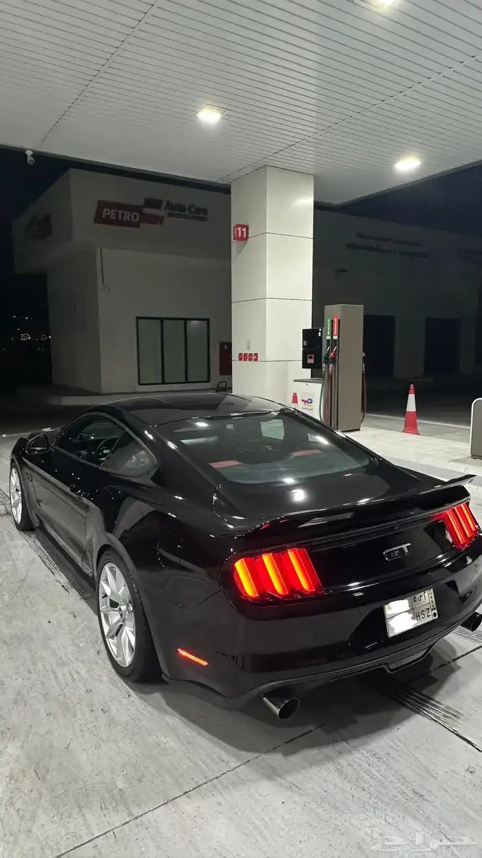 موستنج فل بريميوم قير عادي 1