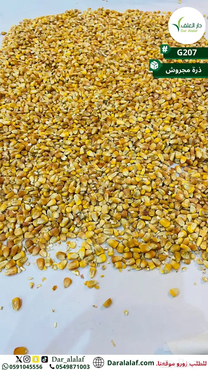 ذرة مجروشة في تبوك والمحافظات 2