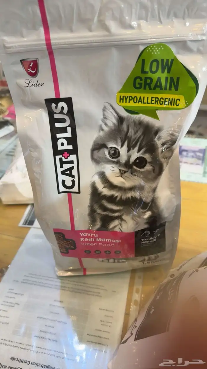 قطه للبيع مع كامل اغراضها انثى كاليكو 3