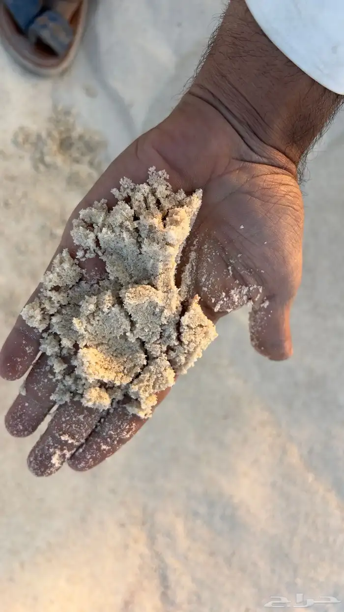 رمل احمر نفود رمل ابيض لياسه 11