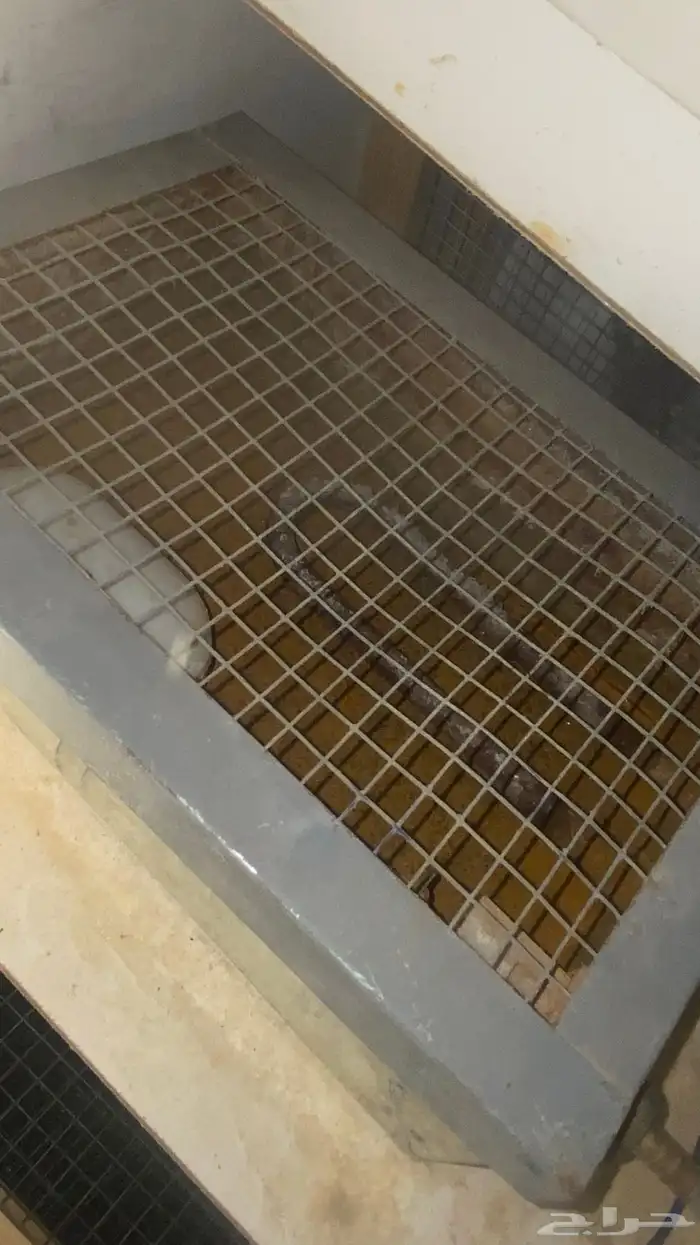 فقاسه يدويه 3