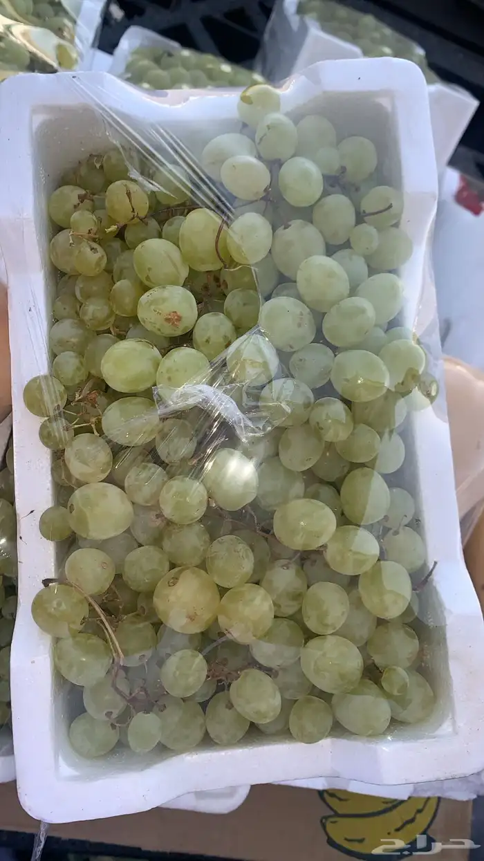 خضروات وفيه شويه يوجد وفواكة ب سعر الجمله لي لطلب اتصل نصل 36