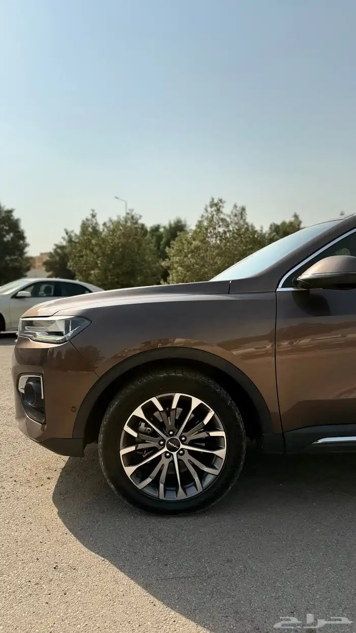 هافال موديل 2020 H6 نظييف للبيع 31