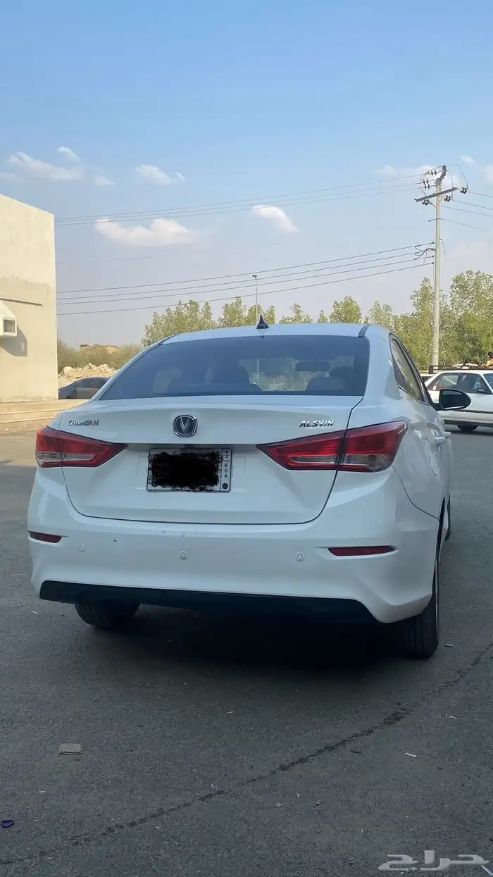 شانجان السفن 2023 1