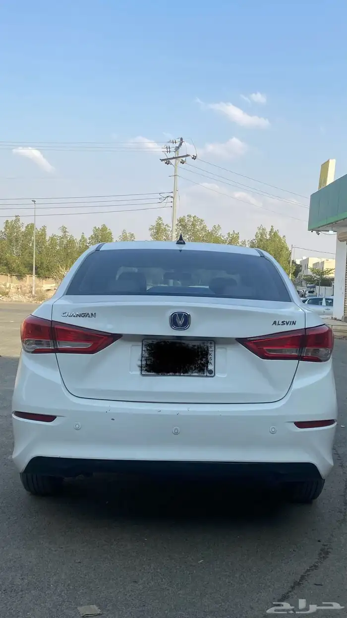 شانجان السفن 2023 7