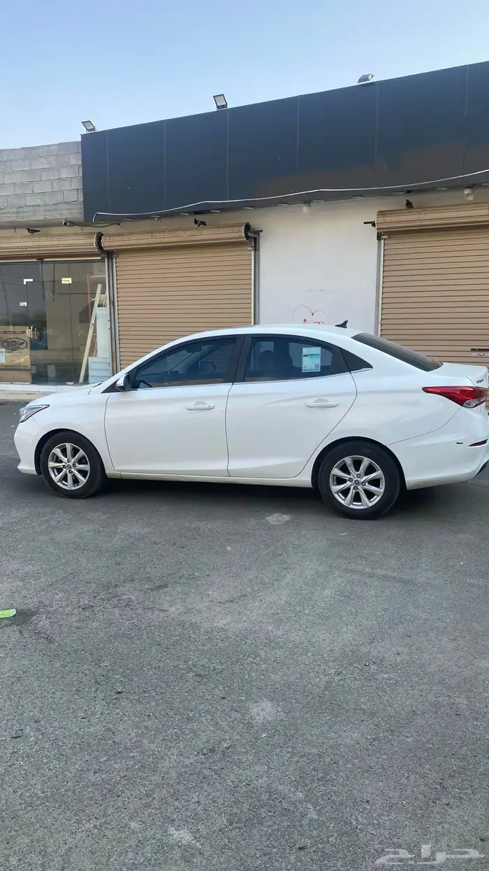 شانجان السفن 2023 11