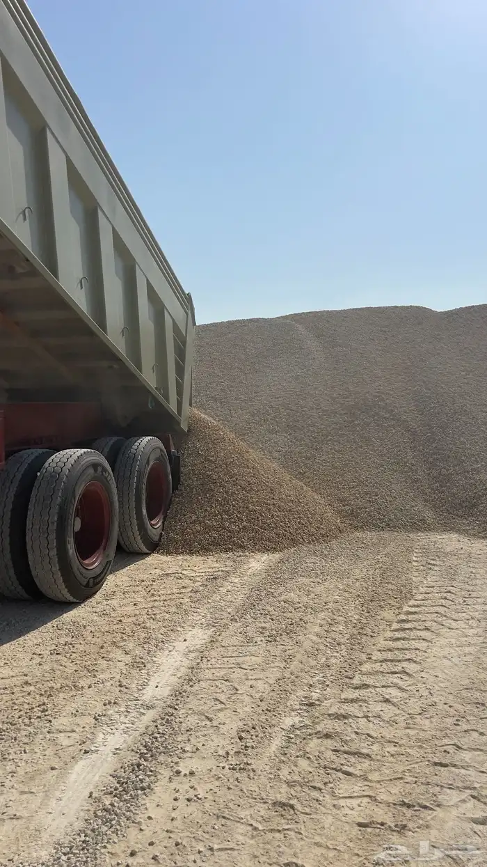 خرسان ابيض  بحص 10