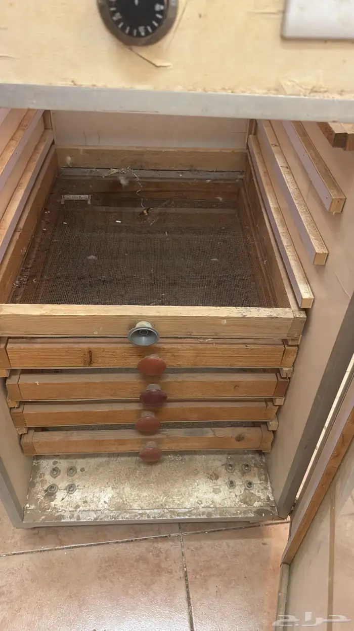 فقاصه 1000 بيضه نظيفه 4