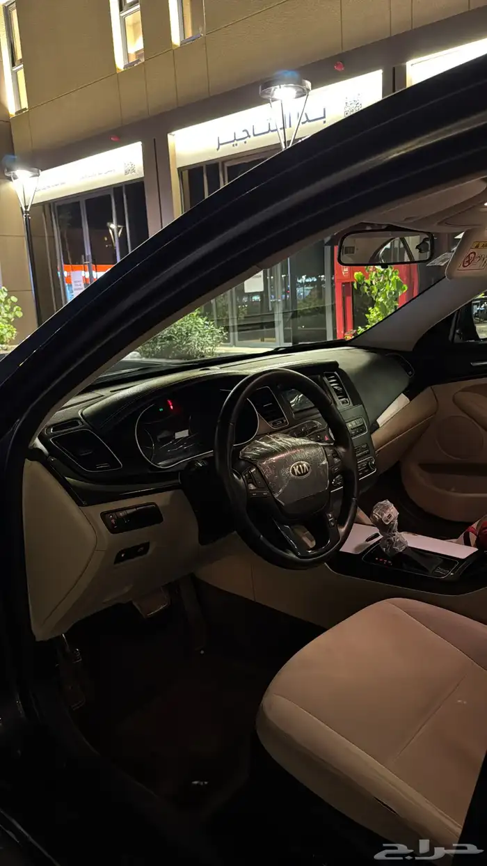 كادينزا 2014 7