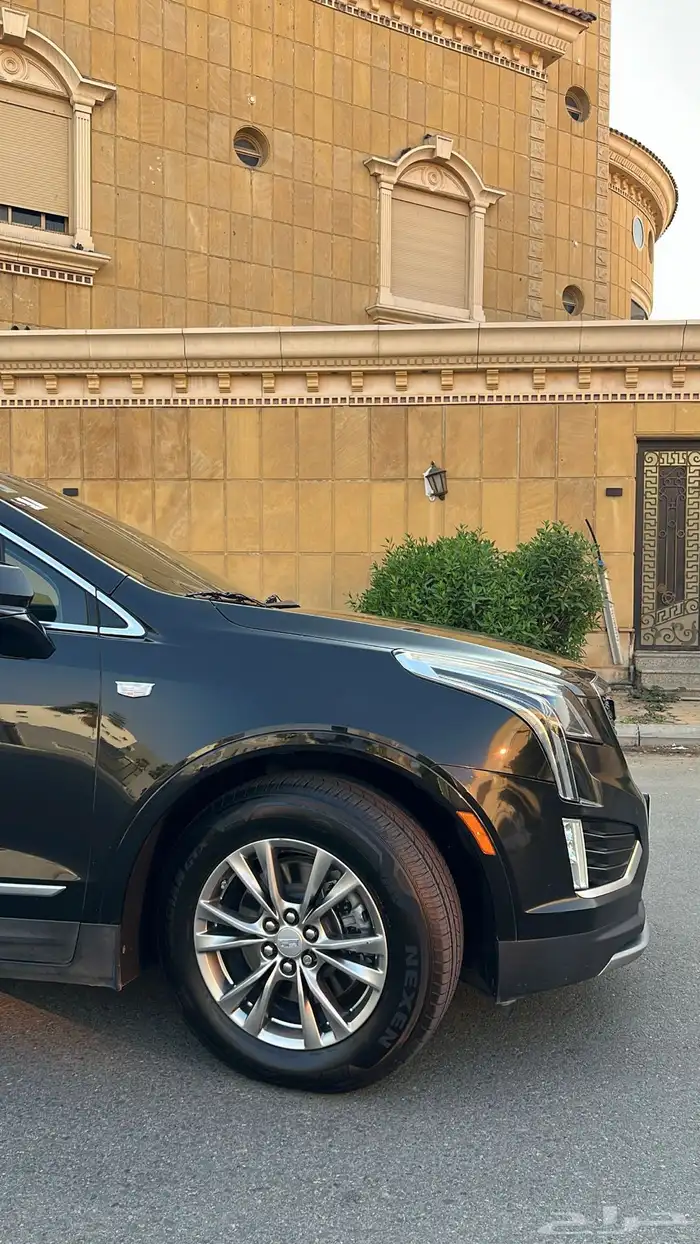 للبيع جيب كاديلاك 2021 بودي بلد 7