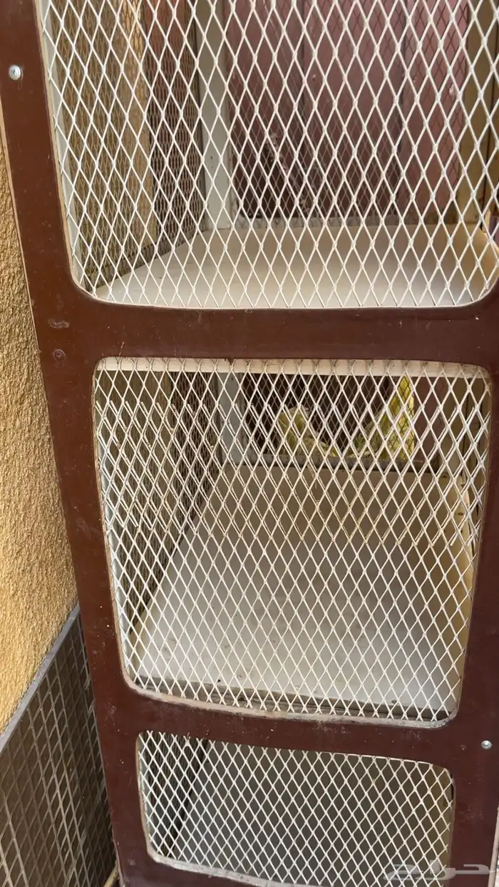 قفص ادوار للبيع 5