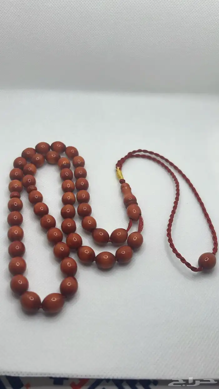 سبح فاتوران زيوت الماني رسميه 4