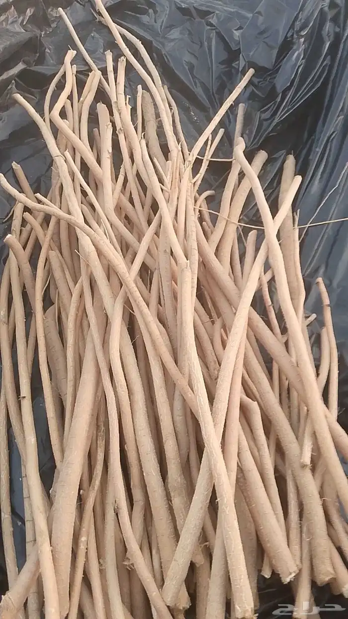 مسواك نضيف 0