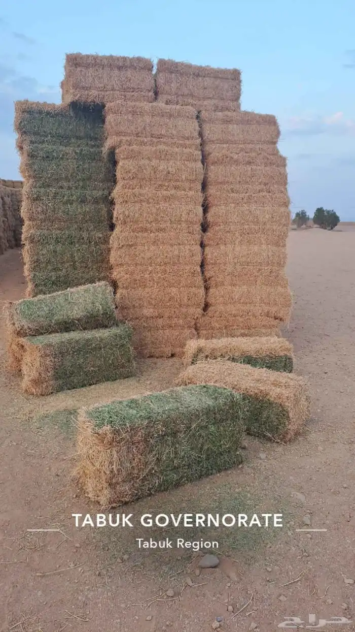 مخلوط صيفي فاخر شد جندير 0