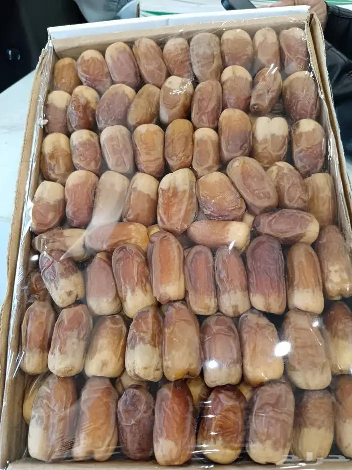 صقعي رطب حبه كبير 5