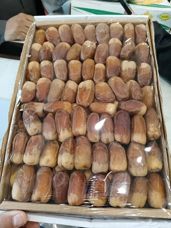 صقعي رطب حبه كبير 4