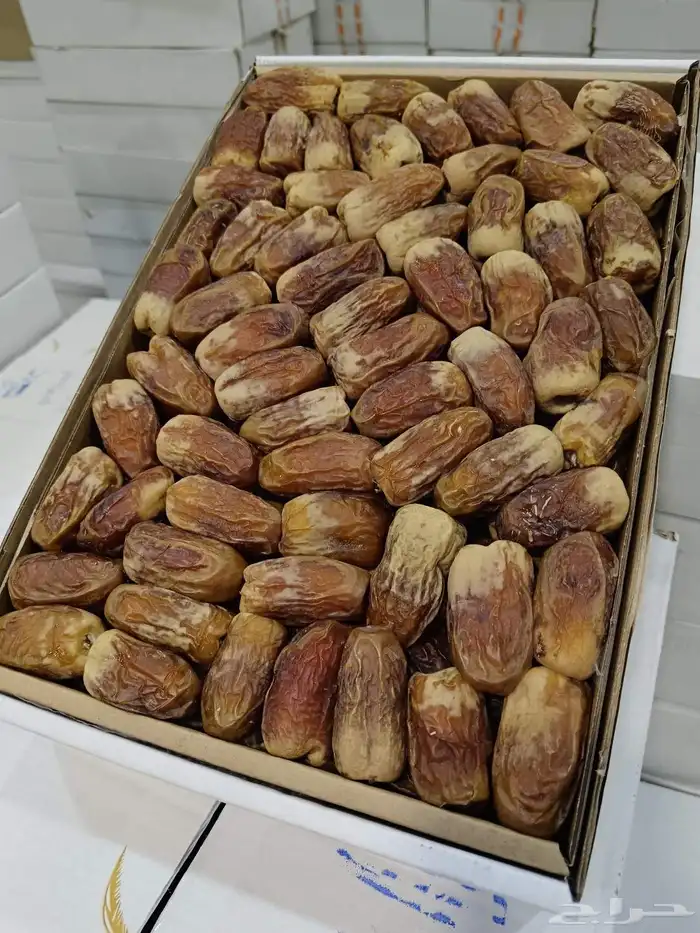 صقعي رطب حبه كبير 3