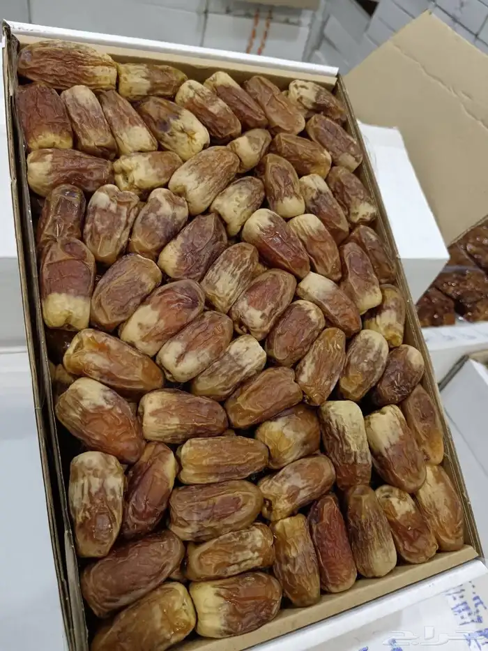 صقعي رطب حبه كبير 2