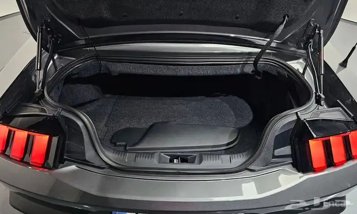 GT Premium Convertible 5.0 موستانج 17