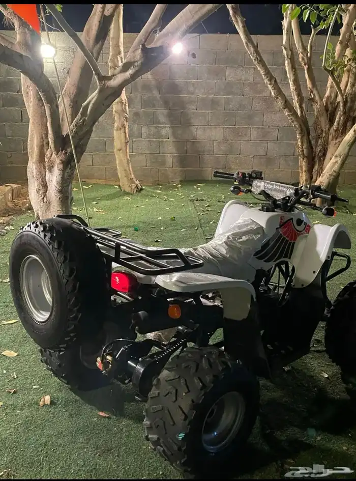 دباب سويدي 6