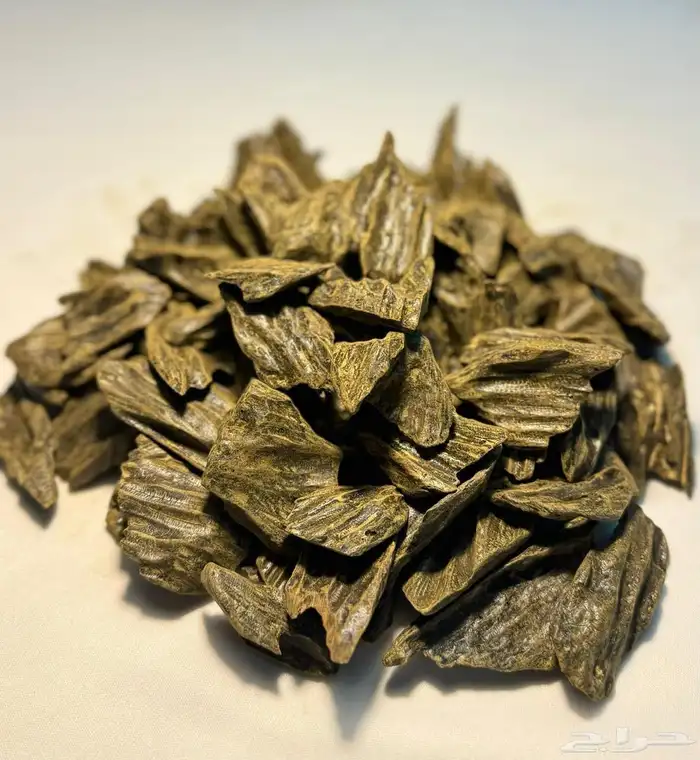 جميع أنواع العود بأقل الأسعار 0