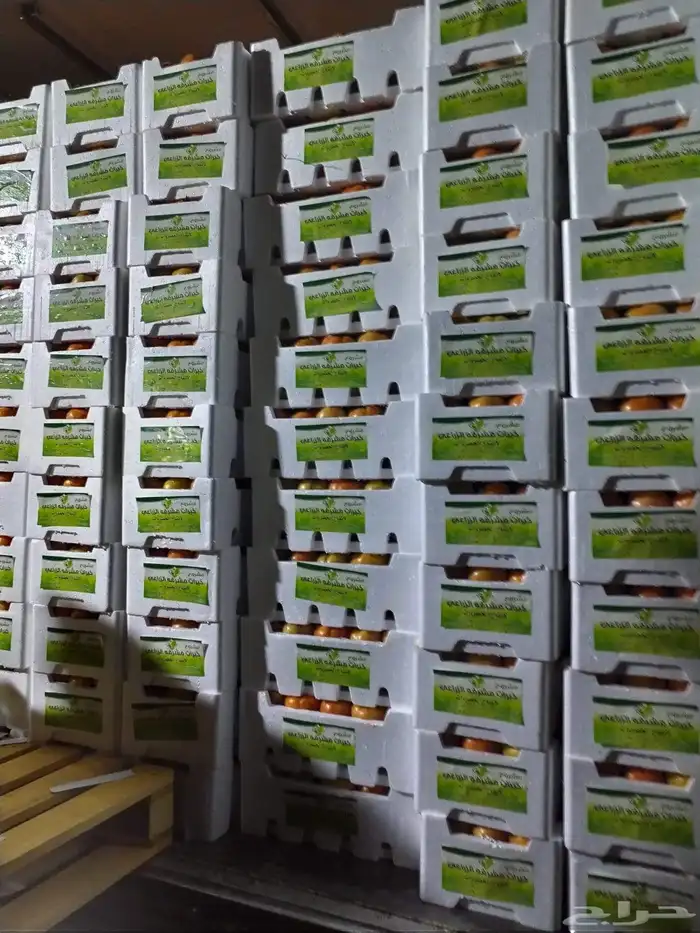 استثمار واعد ومشروع متميز 1