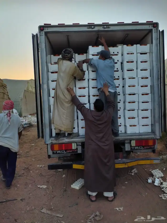 استثمار واعد ومشروع متميز 0