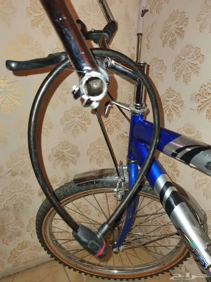 دراجه تيواني مقاس 24 1