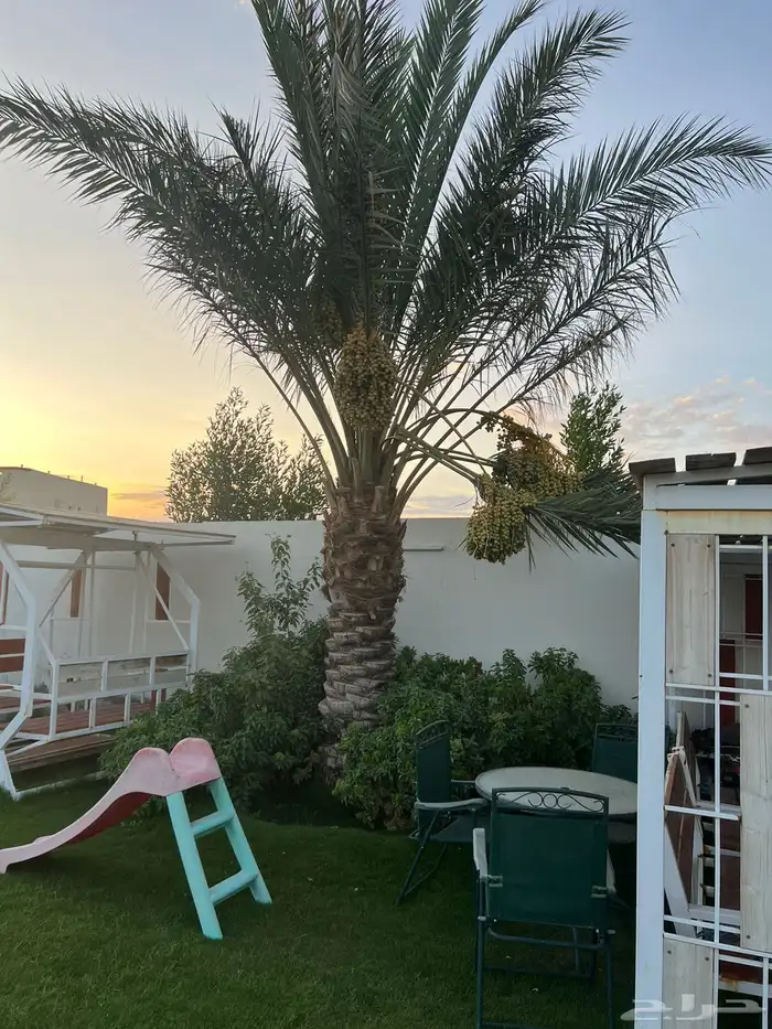 استراحة سكنية للبيع بالطائف بحي الرحبة 11