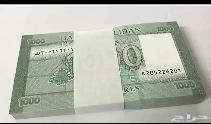 ربطة عملات عربية واجنبية 1