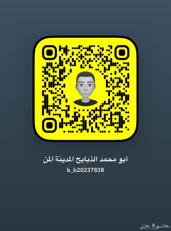 المدينة المنورة 0