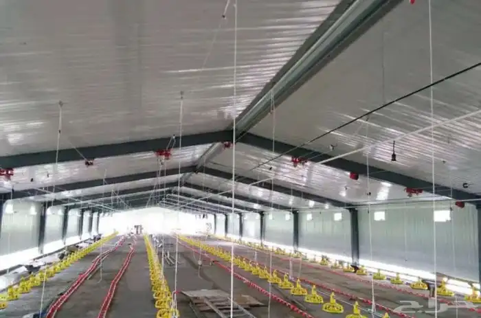 مقاول حظاير الدواجن سعر مناسب 4