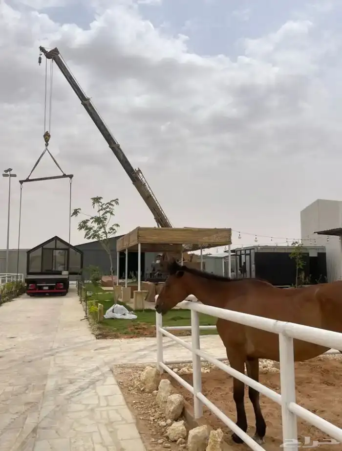 للايجاركرينات. بانواعهاء القادسيه المونسيه الجنادريه الرمال 8