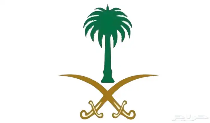 شركة حراسات امنية 0