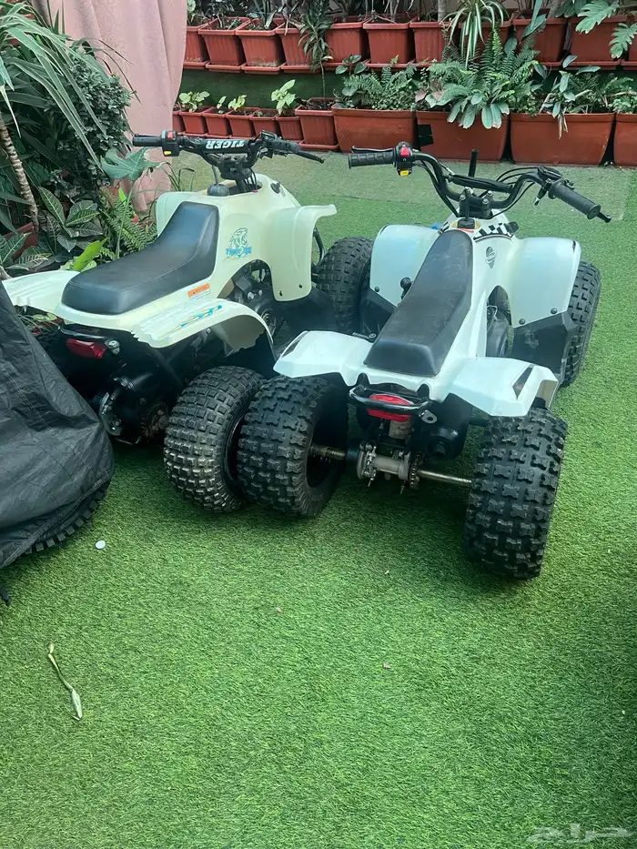 دباب تايواني مقاس 80 2