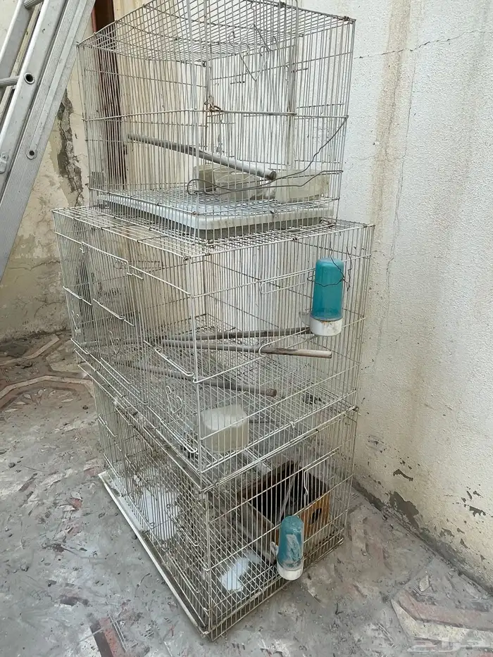 اقفاص طيور للبيع 1