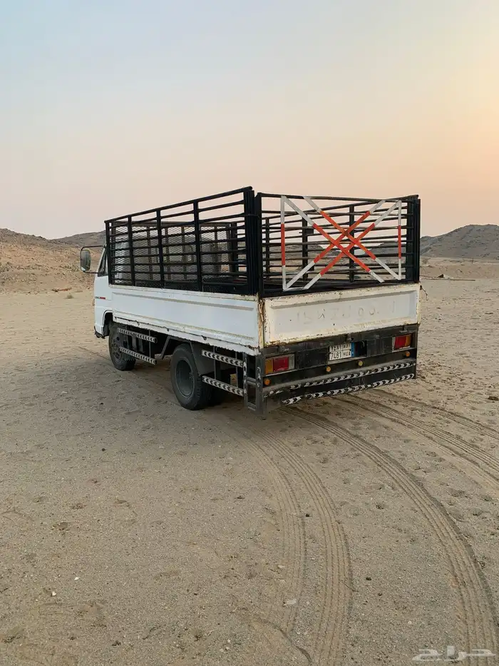 دينا شبك مديل 1994 0