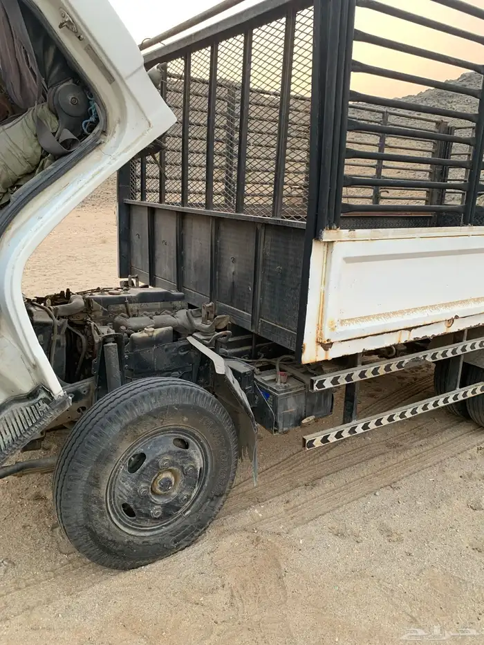 دينا شبك مديل 1994 15