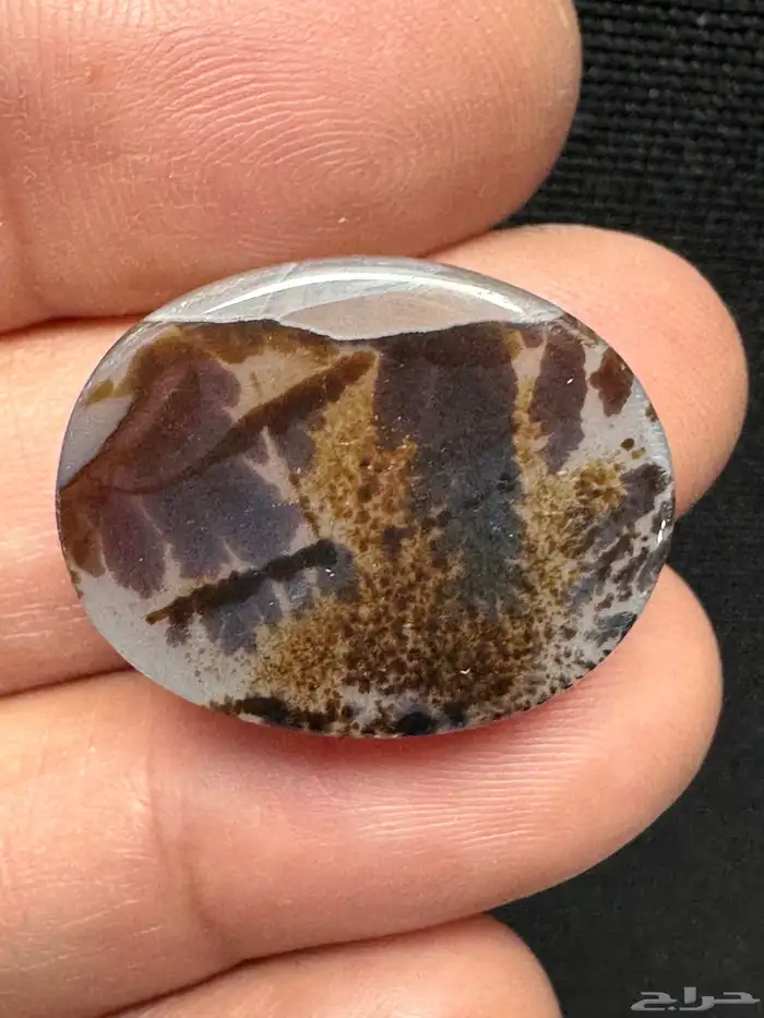 عقيق يماني شجري مصور 20