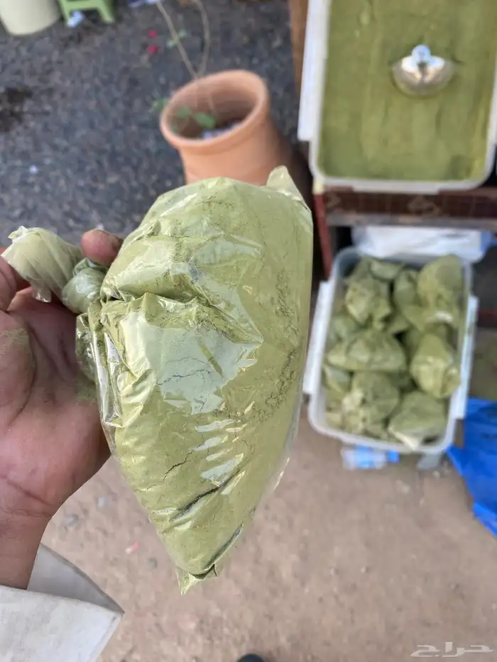 حنا سدر جميع انواع الشعر 3