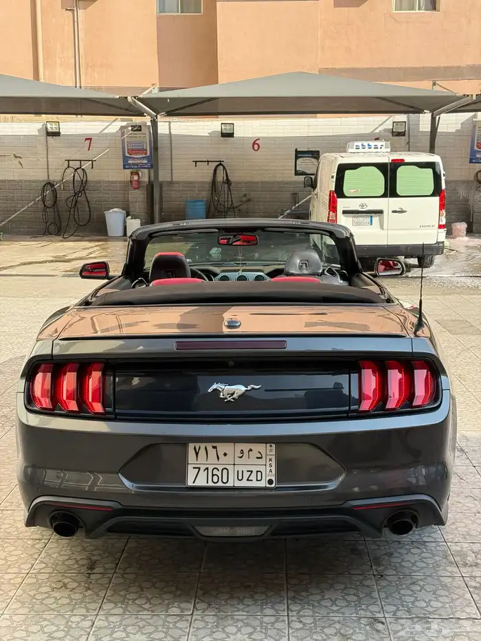 موستنج 2018 15