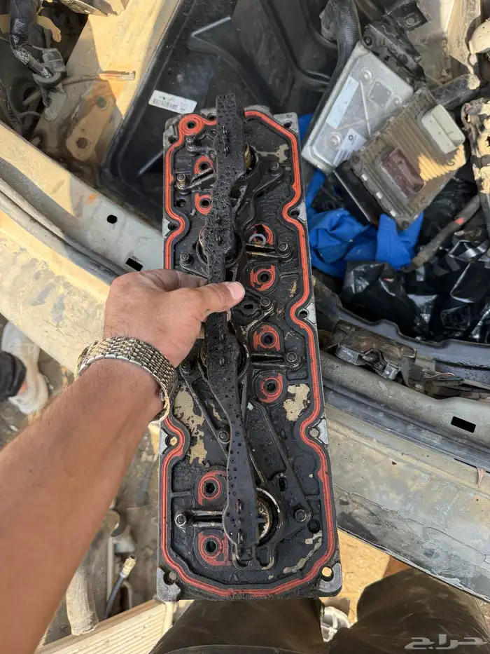 قطع كابرس ولومينا 13