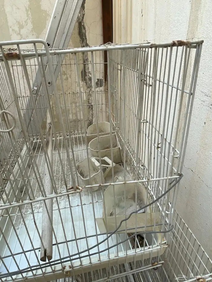 اقفاص طيور للبيع 3